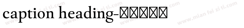 caption heading字体转换